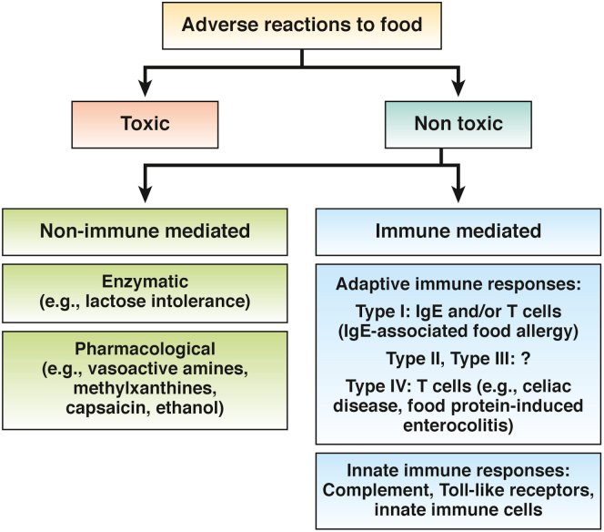 are food intolerance tests accurate
